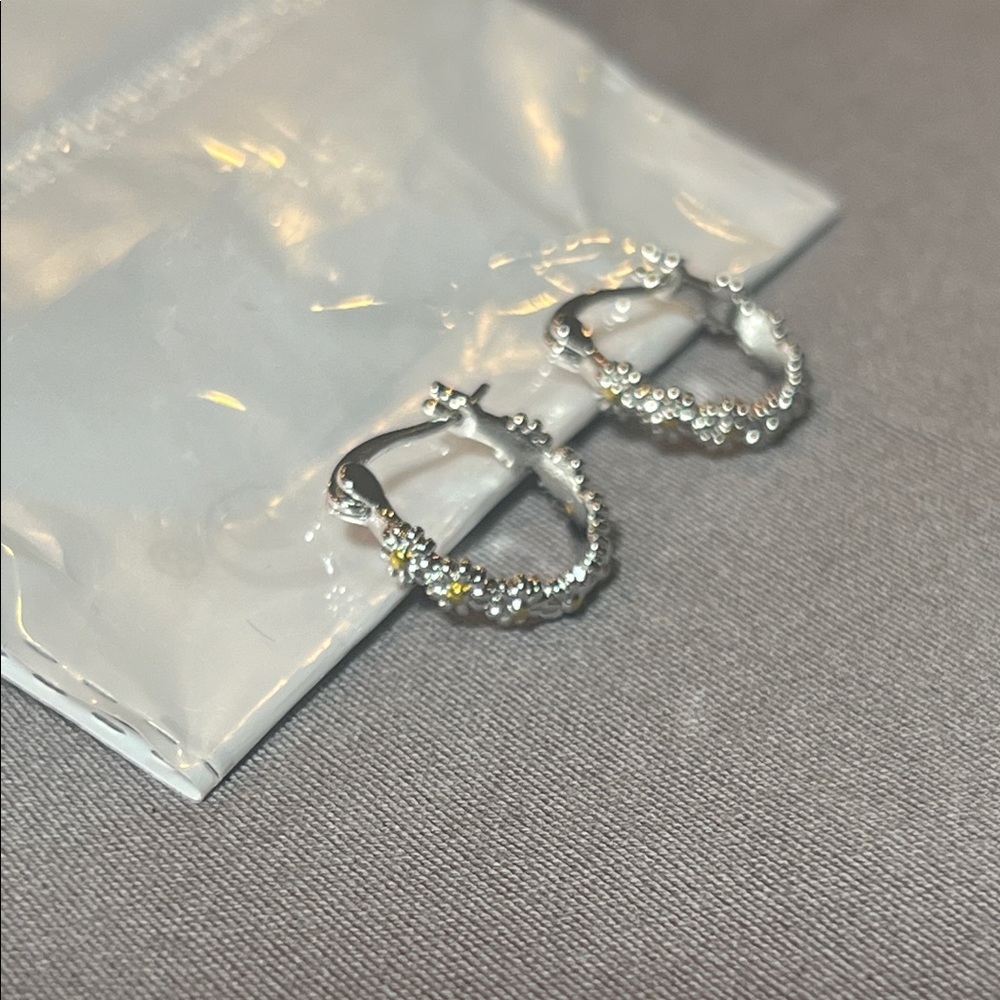 💎 Silver Huggies Earrings